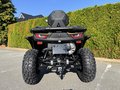 Daumennagel 5 - Segway Snarler 1000 AT10W DLX ABS 30" Reifen, Heizung