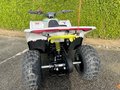 Daumennagel 11 - CFMOTO EV110 *Elektro-Kinderquad* bis 45km/h App