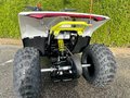 Daumennagel 12 - CFMOTO EV110 *Elektro-Kinderquad* bis 45km/h App