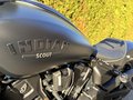 Daumennagel 7 - Indian Sport Scout Limited + Tech Black | 2025 105PS