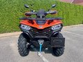 Daumennagel 2 - CFMOTO CFORCE 450 L ABS 4Jahre Garantie, 4x4, Servo