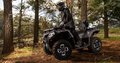 Daumennagel 1 - CFMOTO CFORCE 520 L ABS EPS 4 Jahre Garantie, 4x4