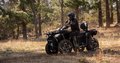 Daumennagel 3 - CFMOTO CFORCE 520 L ABS EPS 4 Jahre Garantie, 4x4