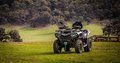 Daumennagel 2 - CFMOTO CFORCE 520 L ABS EPS 4 Jahre Garantie, 4x4