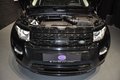 Daumennagel 11 - Land Rover Range Rover Evoque Dynamic