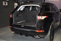 Daumennagel 9 - Land Rover Range Rover Evoque Dynamic
