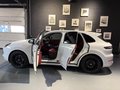 Daumennagel 20 - Porsche Cayenne S/ Hinterachslenkung/Luftfederung/Carbon