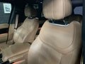 Daumennagel 14 - Land Rover Range Rover P530 / Autobiography /Panorama