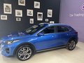 Daumennagel 2 - Kia XCeed Vision /DCT /1.5 T-GDI/Teilleder/Navi/