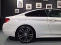 Daumennagel 7 - BMW 420 4 Coupe 420 i M Sport/CARBON/TOP ZUSTAND
