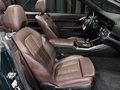 Daumennagel 14 - BMW 420i Cabrio / Premium Selection