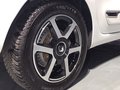 Daumennagel 28 - Renault Twingo Intens