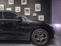 Daumennagel 12 - Alfa Romeo Stelvio Lusso Ti Q4/PANO/HARMAN KARDON