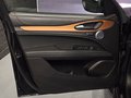 Daumennagel 25 - Alfa Romeo Stelvio Lusso Ti Q4/PANO/HARMAN KARDON
