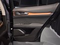 Daumennagel 30 - Alfa Romeo Stelvio Lusso Ti Q4/PANO/HARMAN KARDON