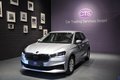 Daumennagel 2 - Skoda Fabia Active/Car Pay/Navi/2 Hand
