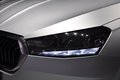 Daumennagel 18 - Skoda Fabia Active/Car Pay/Navi/2 Hand