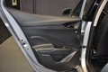 Daumennagel 20 - Skoda Fabia Active/Car Pay/Navi/2 Hand