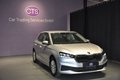 Daumennagel 3 - Skoda Fabia Active/Car Pay/Navi/2 Hand