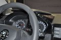 Daumennagel 30 - Skoda Fabia Active/Car Pay/Navi/2 Hand