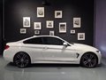 Daumennagel 6 - BMW 420 4 Coupe 420 i M Sport/CARBON/TOP ZUSTAND