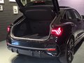 Daumennagel 13 - Audi Q3 Sportback 45 TFSI quattro S line/PANO