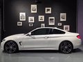 Daumennagel 4 - BMW 420 4 Coupe 420 i M Sport/CARBON/TOP ZUSTAND