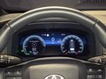 Daumennagel 13 - Toyota C-HR Plug-In Hybrid FWD Team Deutschland/1 HAND