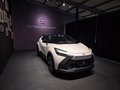 Daumennagel 3 - Toyota C-HR Plug-In Hybrid FWD Team Deutschland/1 HAND
