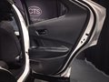 Daumennagel 31 - Toyota C-HR Plug-In Hybrid FWD Team Deutschland/1 HAND