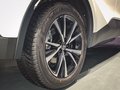 Daumennagel 32 - Toyota C-HR Plug-In Hybrid FWD Team Deutschland/1 HAND