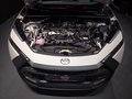 Daumennagel 7 - Toyota C-HR Plug-In Hybrid FWD Team Deutschland/1 HAND