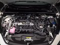 Daumennagel 8 - Toyota C-HR Plug-In Hybrid FWD Team Deutschland/1 HAND