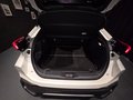 Daumennagel 9 - Toyota C-HR Plug-In Hybrid FWD Team Deutschland/1 HAND