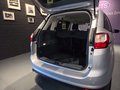 Daumennagel 11 - Ford Grand C-Max Grand C-MAX Trend