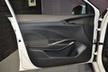 Daumennagel 19 - Skoda Fabia Active/ERSTE HAND/SILBER FOLIE