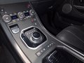 Daumennagel 12 - Land Rover Range Rover Evoque SE Dynamic
