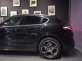 Daumennagel 15 - Alfa Romeo Stelvio Lusso Ti Q4/PANO/HARMAN KARDON