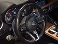 Daumennagel 27 - Alfa Romeo Stelvio Lusso Ti Q4/PANO/HARMAN KARDON