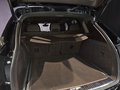 Daumennagel 7 - Porsche Cayenne Diesel/PANO/LEDER PAKET/TOP
