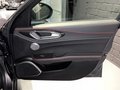 Daumennagel 22 - Alfa Romeo Giulia Quadrifoglio/Carbon Paket/Carbon Bremse
