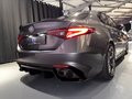Daumennagel 26 - Alfa Romeo Giulia Quadrifoglio/Carbon Paket/Carbon Bremse