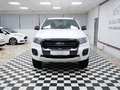 Daumennagel 2 - Ford Ranger Wildtrak Doppelka. 4x4*Motor & Getriebe NEU*1Vorb*