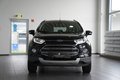Daumennagel 4 - Ford EcoSport Titanium