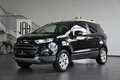 Daumennagel 3 - Ford EcoSport Titanium