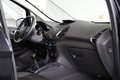 Daumennagel 17 - Ford EcoSport Titanium