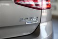 Daumennagel 12 - Volkswagen Golf VII Allstar BMT AUT NAV SHZ ACC
