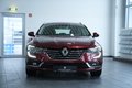 Daumennagel 3 - Renault Talisman Grandtour  AUT LED SHZ NAV CARPLAY