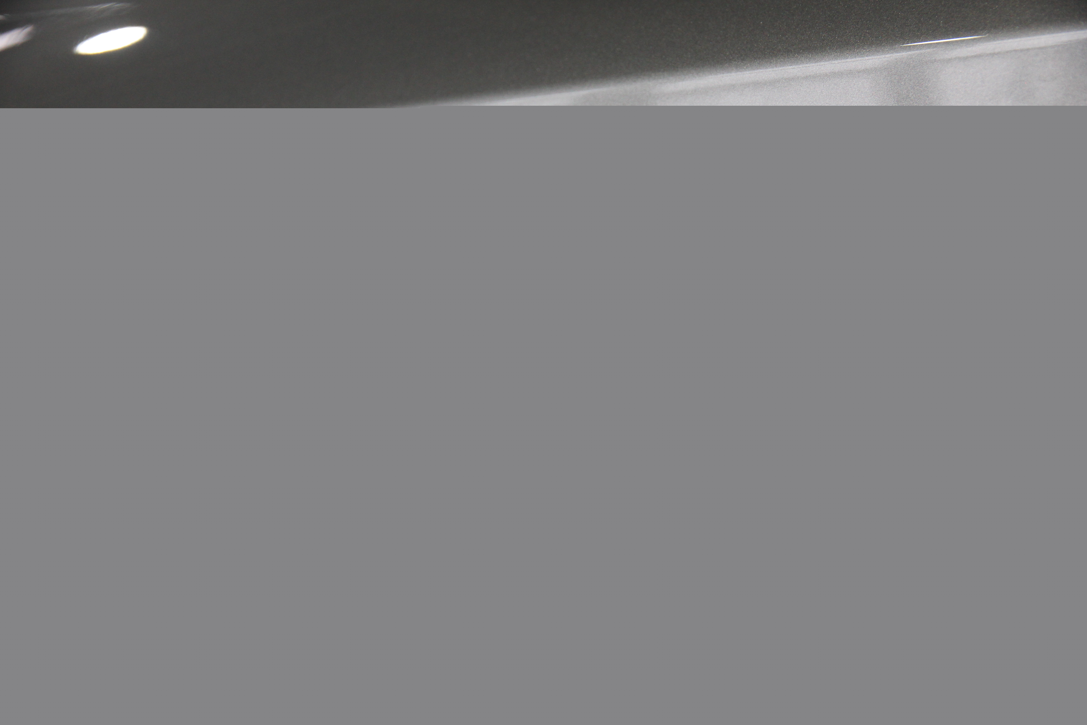 Daumennagel 10 - MG ZS EV Luxury Maximal PANO LED LEDER ACC 360°