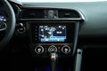 Daumennagel 17 - Renault Kadjar Business Edition AUTOMATIK KEYLEES
